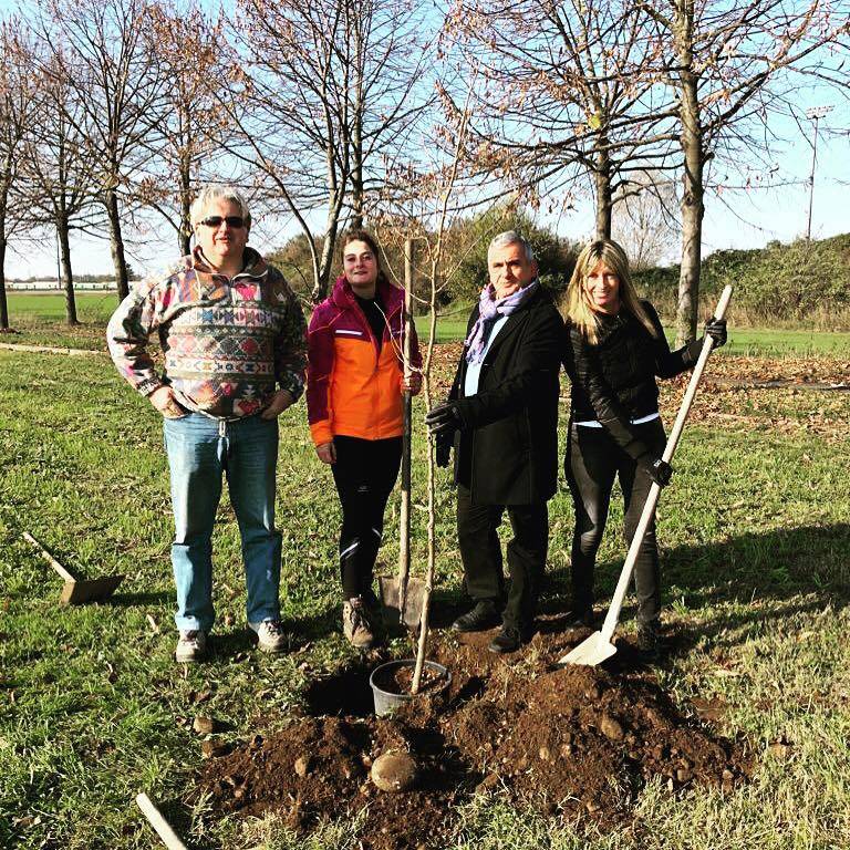 festa degli alberi busto arsizio 2018