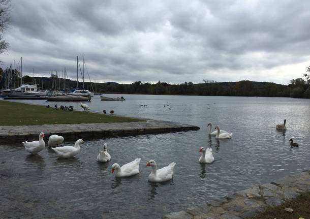 Il lago dopo la pioggia ad Angera e Ranco