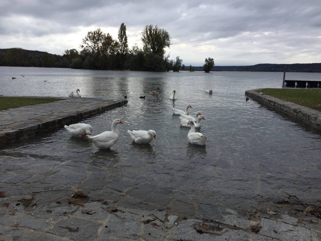 Il lago dopo la pioggia ad Angera e Ranco