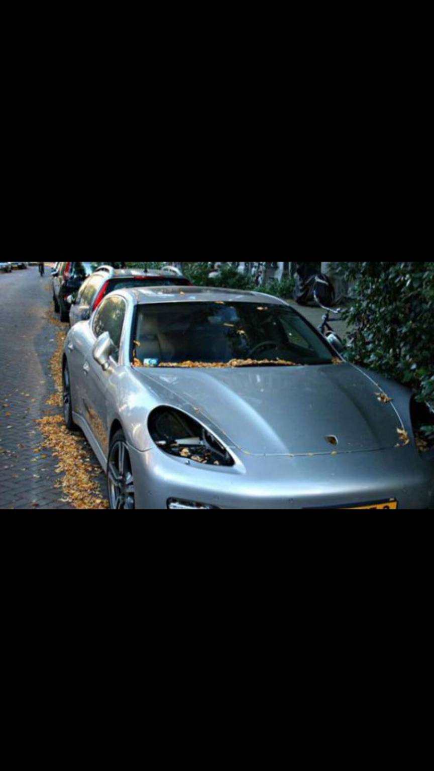 Ladro di fari di Audi e Porsche stresa