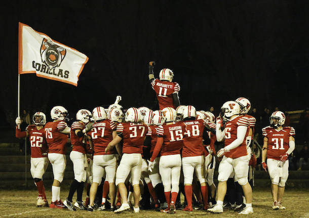 gorillas varese football americano