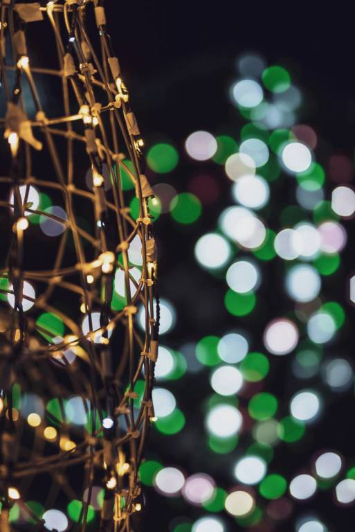 Le lucine di Leggiuno negli scatti Mattenry.raw