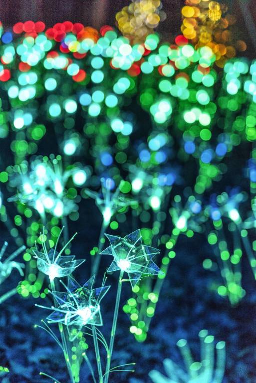 Le lucine di Leggiuno negli scatti Mattenry.raw