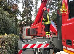 Il camion si incastra per \"colpa\" del navigatore