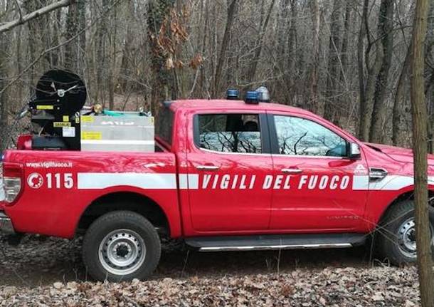 incendio boschi vigili del fuoco