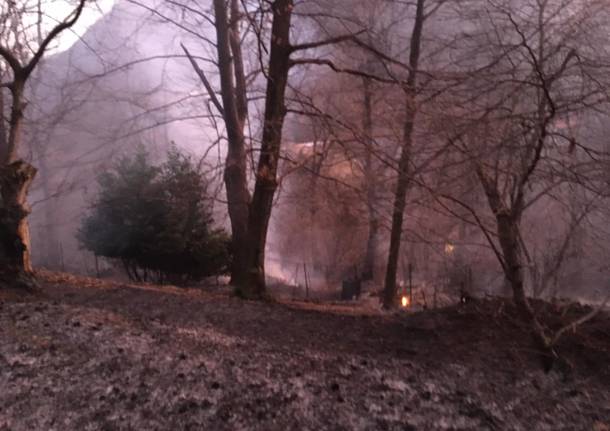incendio boschivo vararo