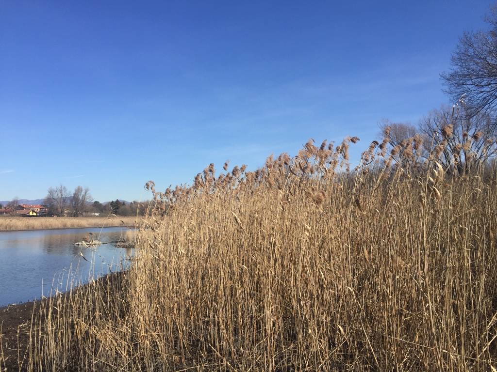 Oasi della Bruschera