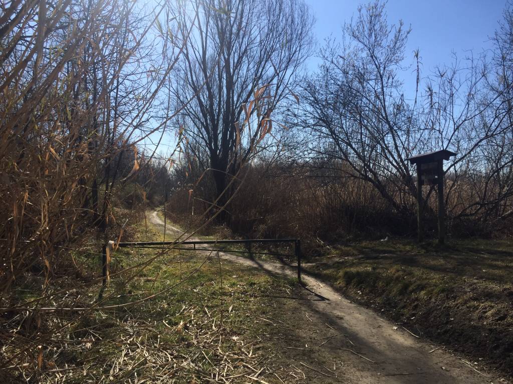 Oasi della Bruschera