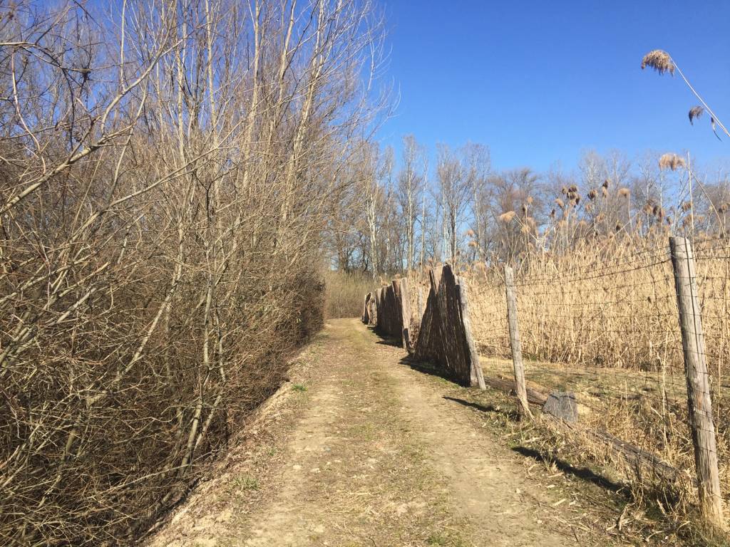 Oasi della Bruschera