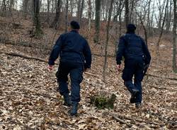 spaccio nei boschi carabinieri luino