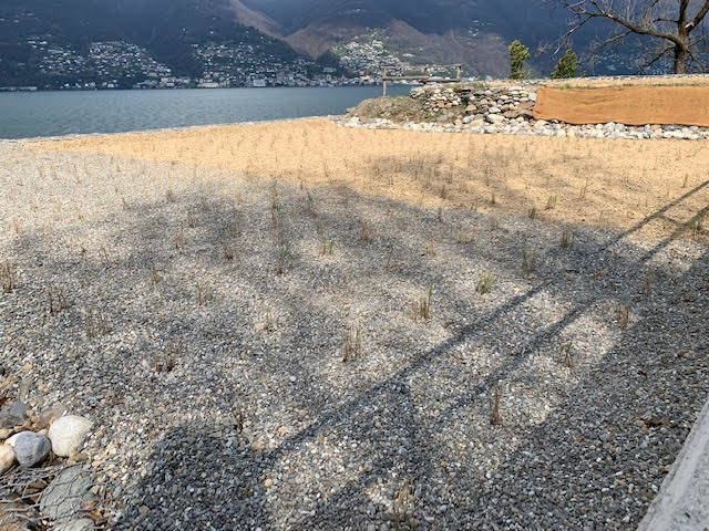 A Maccagno con Pino e Veddasca arriva l'impianto di fitodepurazione