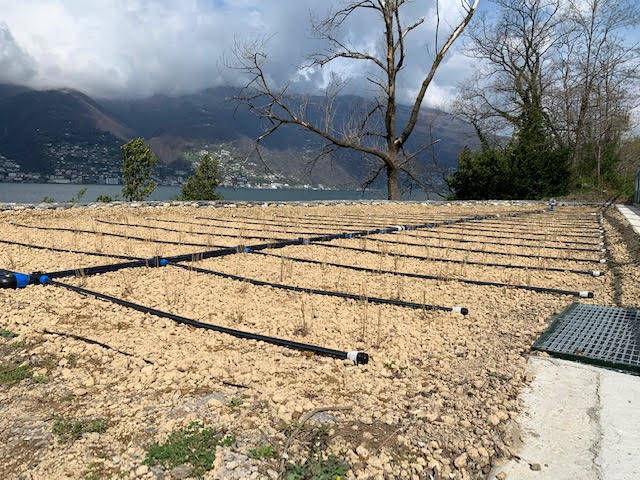 A Maccagno con Pino e Veddasca arriva l'impianto di fitodepurazione