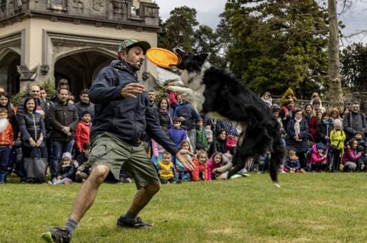 Castello delle Sorprese