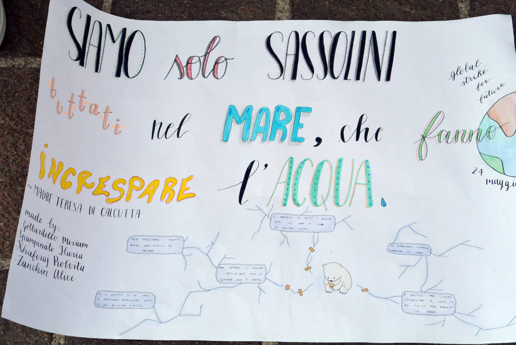Friday for Future a Sesto Calende