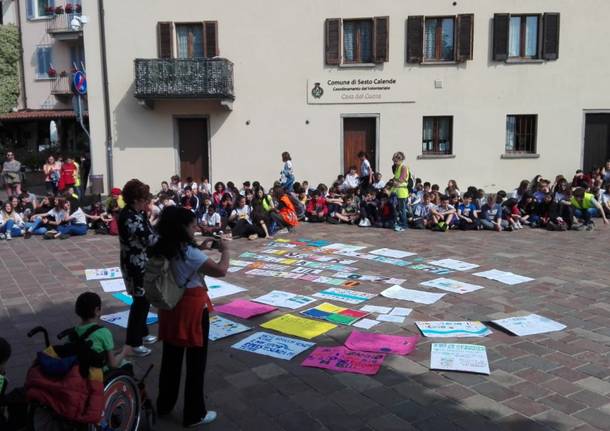 Friday for Future a Sesto Calende