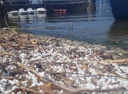 Polistirolo nel lago