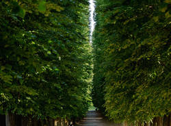 parco della Quassa Ispra
