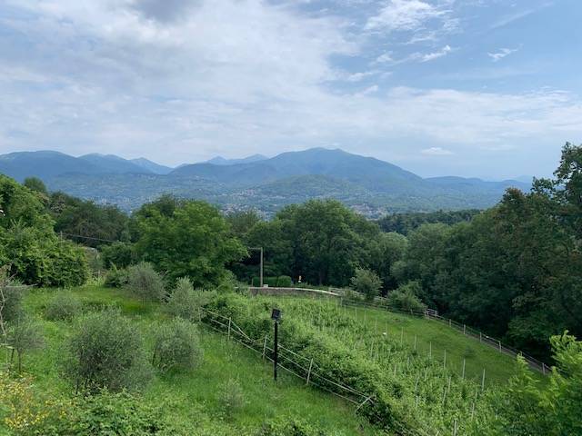 Valtravglia tra lago e montagna, la quarta tappa di \"territori in tour\" nel Luinese