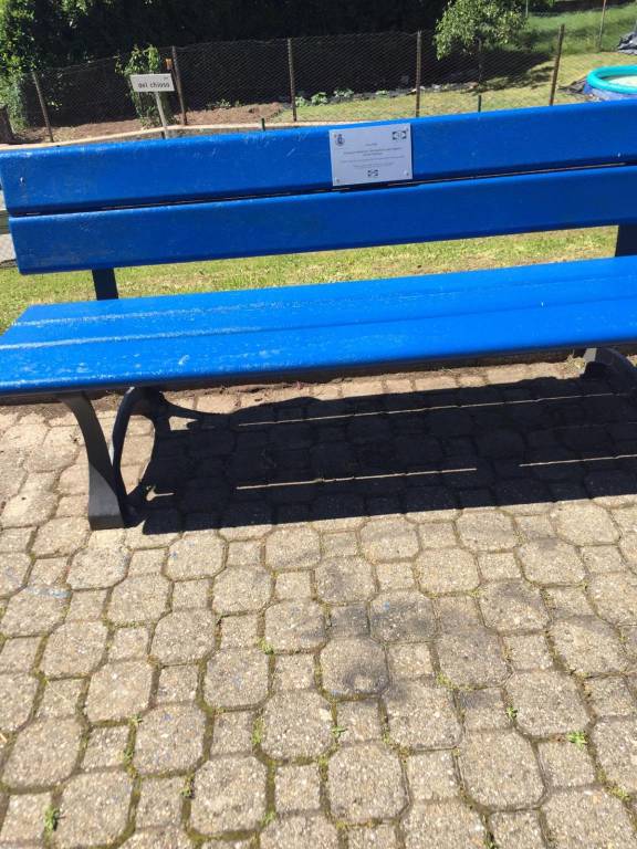 Inaugurazione panchine di Porto  Valtravaglia 