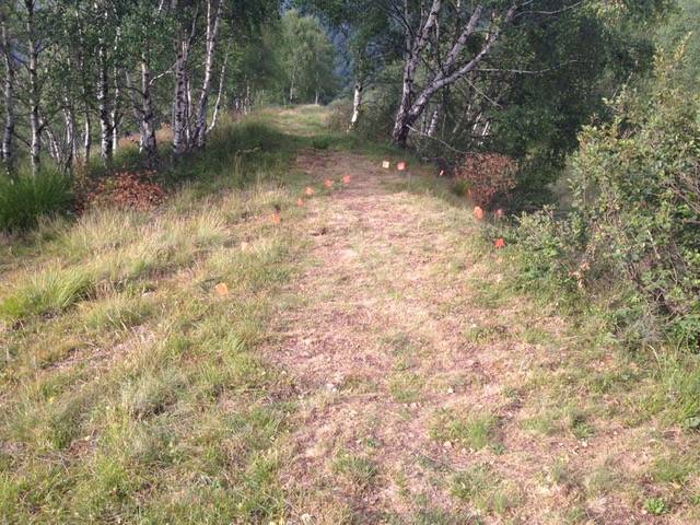 Il Grand Prix valli Varesine in Forcora