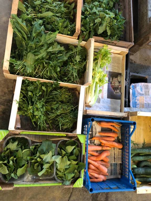 La fattoria del bricco a Luino, dove si coltivano verdure giapponesi 