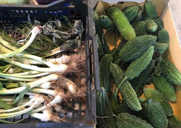 La fattoria del bricco a Luino, dove si coltivano verdure giapponesi