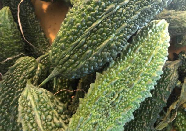 La fattoria di Luino dove si coltivano verdure giapponesi
