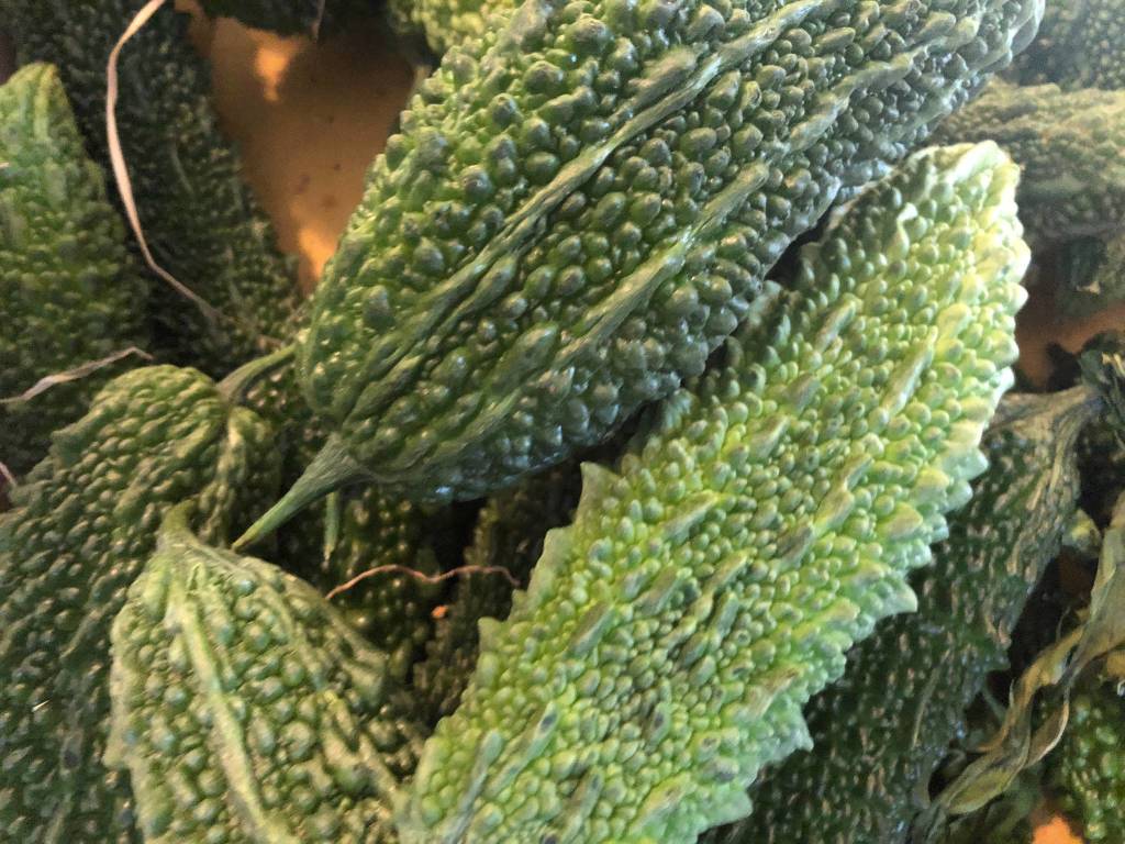 La fattoria del bricco a Luino, dove si coltivano verdure giapponesi 