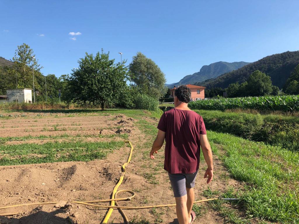 La fattoria del bricco a Luino, dove si coltivano verdure giapponesi 