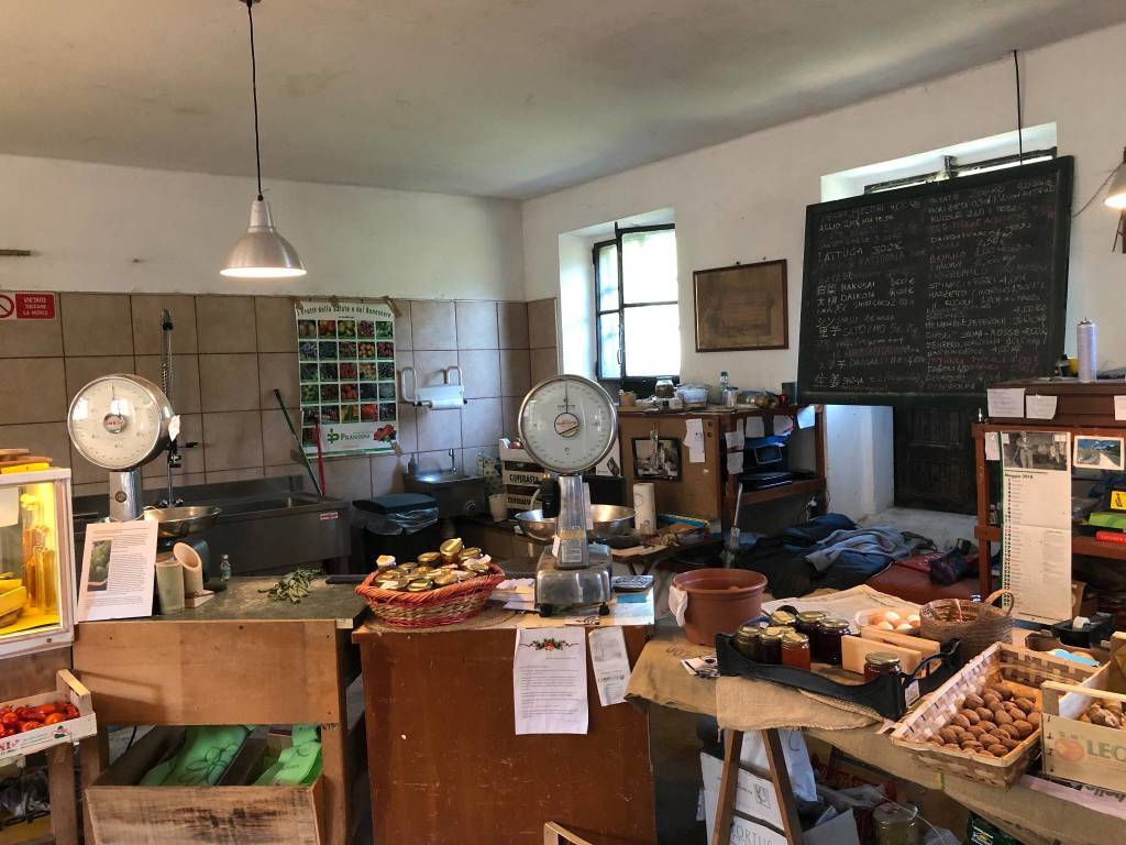 La fattoria del bricco a Luino, dove si coltivano verdure giapponesi 