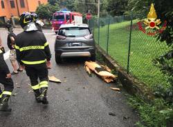 Abete colpito da un fulmine a Musadino