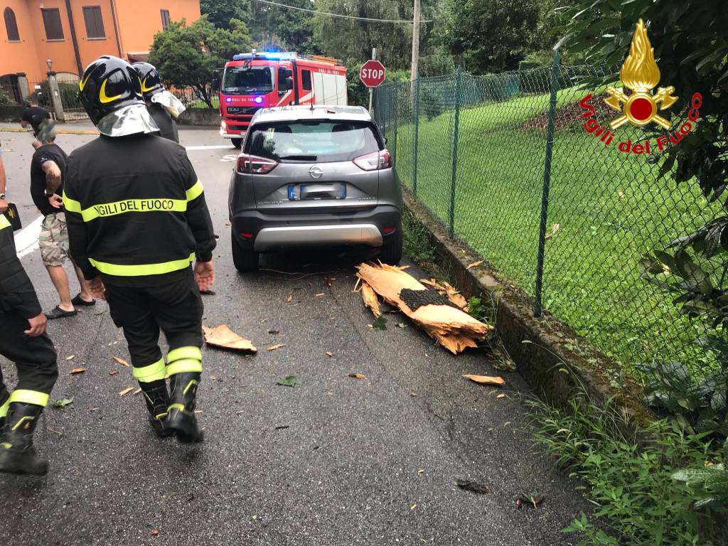 Abete colpito da un fulmine a Musadino
