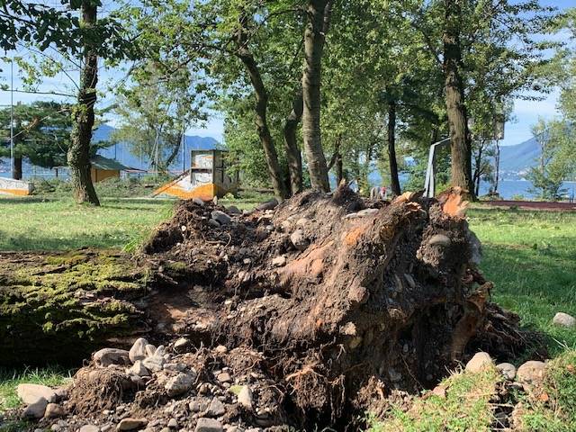 Maccagno il giorno dopo, parco devastato