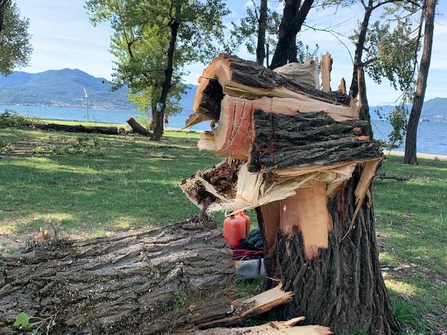 Maccagno il giorno dopo, parco devastato