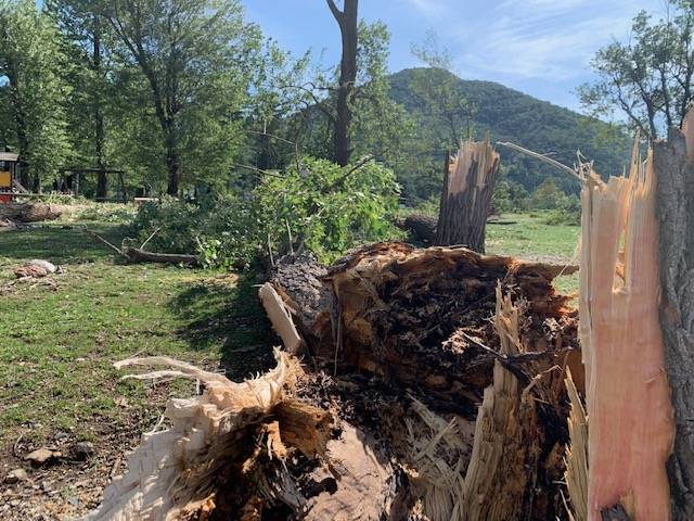 Maccagno il giorno dopo, parco devastato