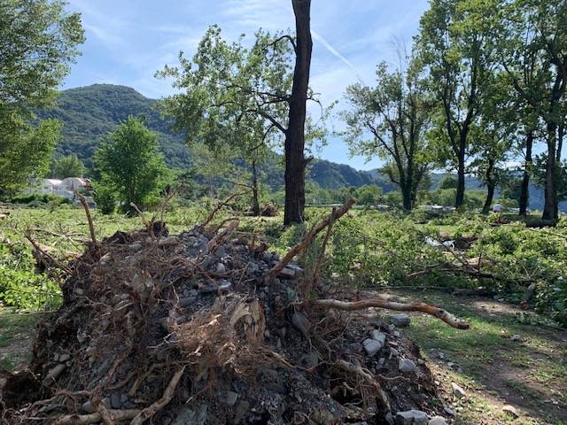 Maccagno il giorno dopo, parco devastato