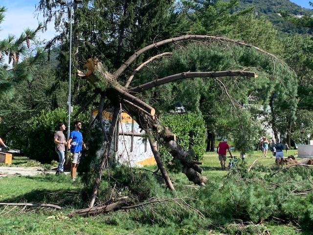 Maccagno il giorno dopo, parco devastato