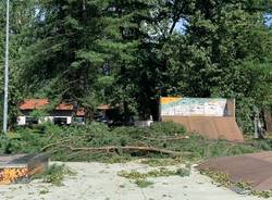 Maccagno il giorno dopo, parco devastato