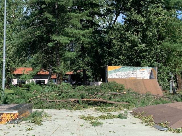 Maccagno il giorno dopo, parco devastato