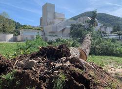 Maccagno il giorno dopo, parco devastato