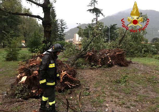 Maltempo, alberi caduti al Parco Giona