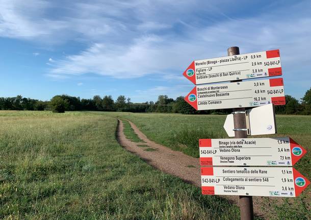 Parco Pineta - Binago