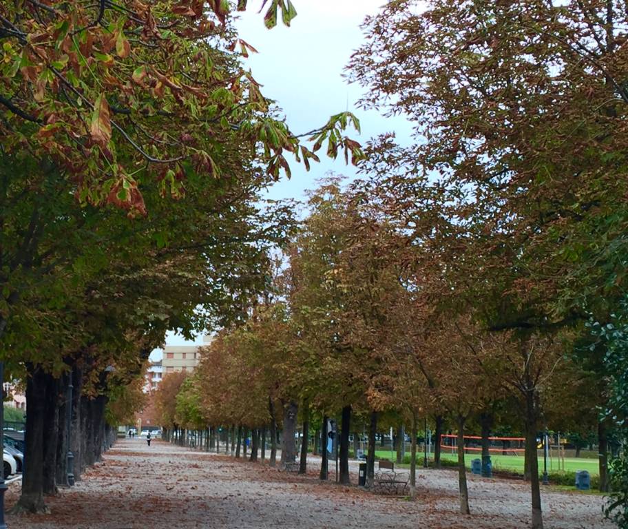 Autunno ad Angera, aspettando il foliage