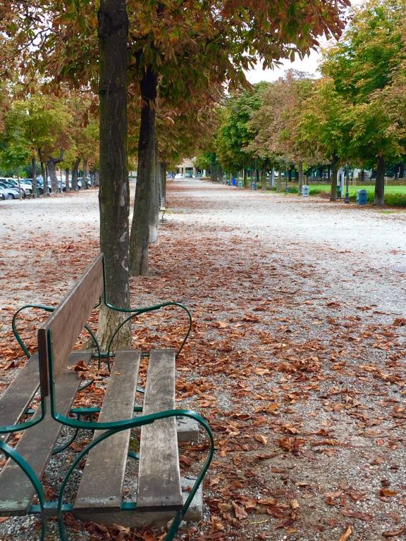 Autunno ad Angera, aspettando il foliage