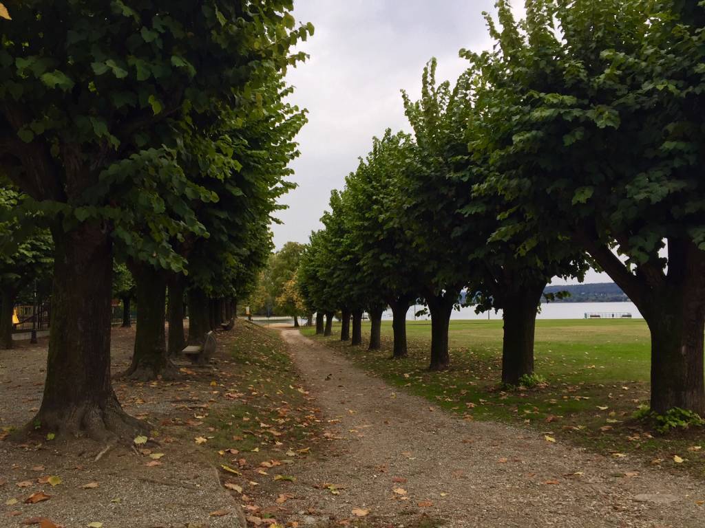 Autunno ad Angera, aspettando il foliage