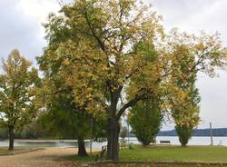 Autunno ad Angera, aspettando il foliage