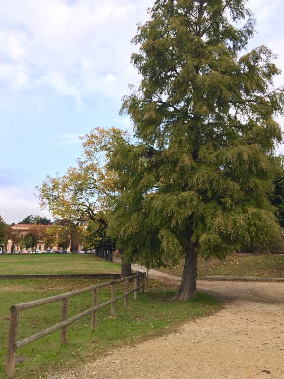 Autunno ad Angera, aspettando il foliage