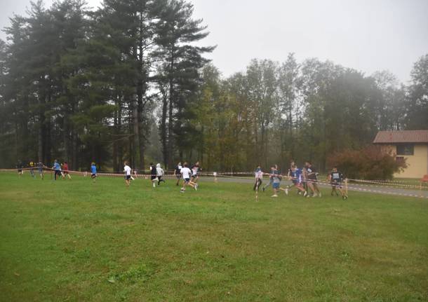 Gli alunni del comprensivo Frattini ricordano la prof scomparsa