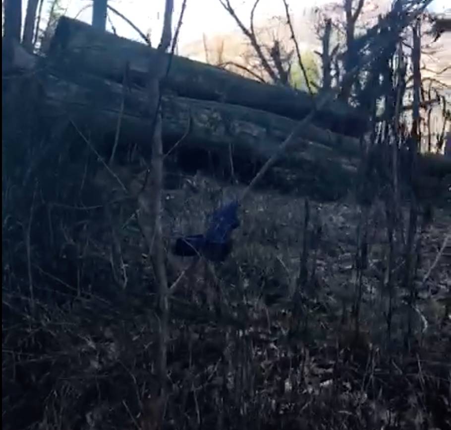 Rifiuti abbandonati al Biviglione