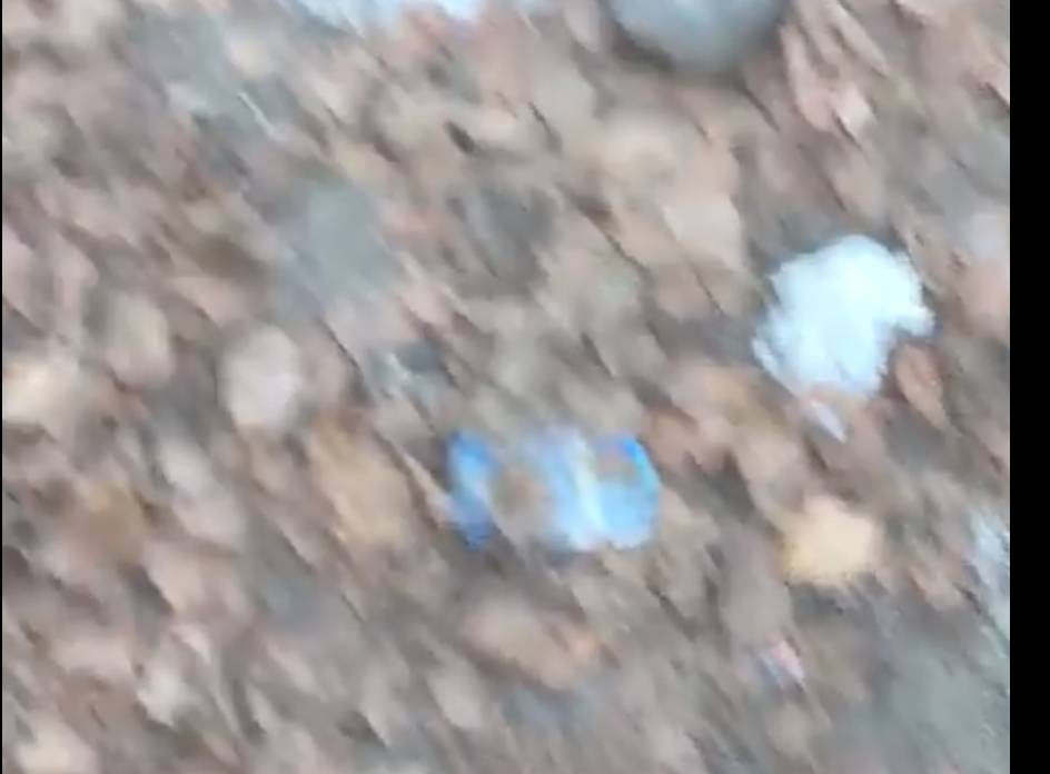 Rifiuti abbandonati al Biviglione